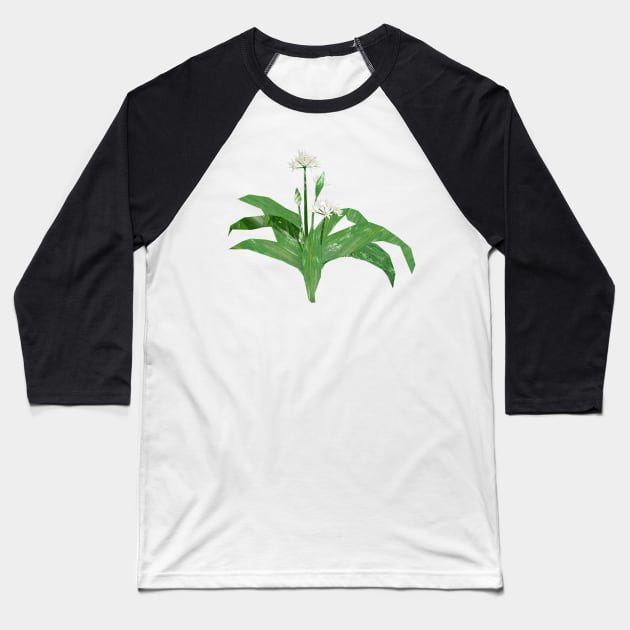 Ramson (Wild Garlic) Baseball T-Shirt by Babban Gaelg